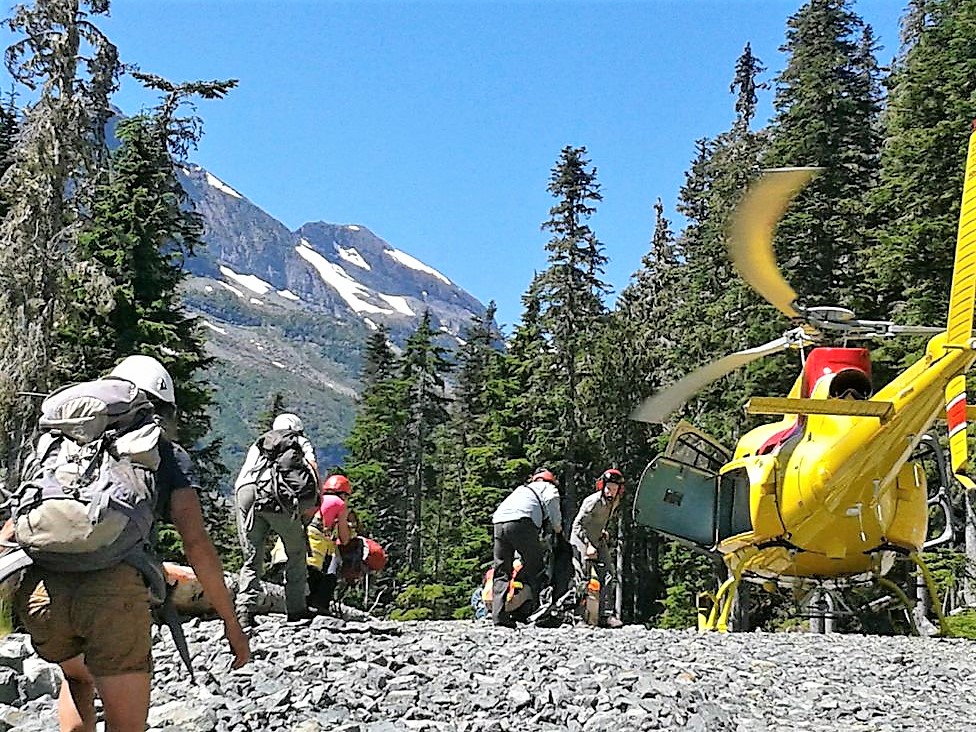 Mt. Washington Search Mt. Washington Search